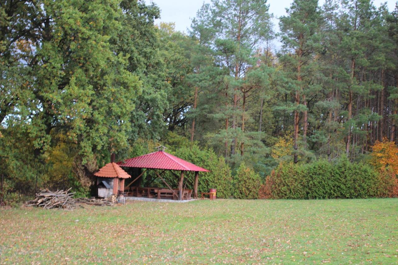 Gospodarstwo Agroturystyczne Agroletnica Swidnica  Экстерьер фото