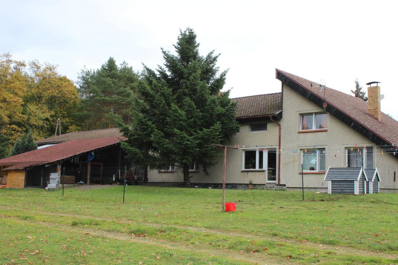 Gospodarstwo Agroturystyczne Agroletnica Swidnica  Экстерьер фото